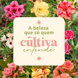 SOMENTE PLANTAS SANTARÉM 🌵🪴🌴🌻🌹
