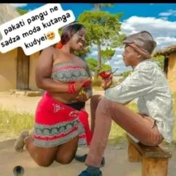 Chakafukidza dzimba matenga