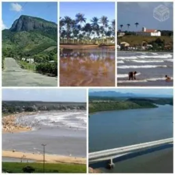 NEGÓCIOS REGIÃO PG/NVA