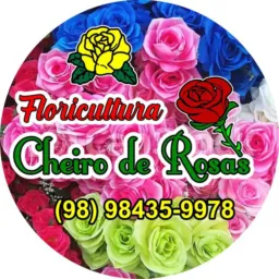 Floricultura Cheiro de Rosas 03 Tutóia