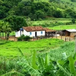A Vida no Campo 🐓🐴🪿🐗