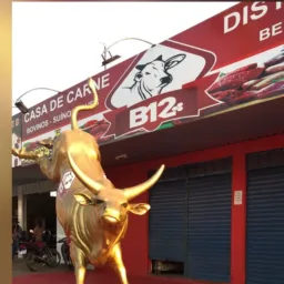 Casa de carne B12