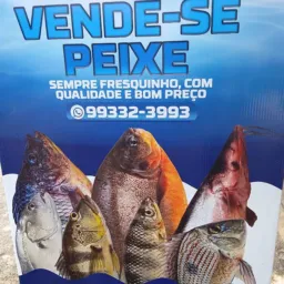 Ponto De Peixe Do Gilvan🐟