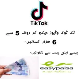 TikTok Daily Earnings