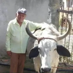 Grupo do trocão