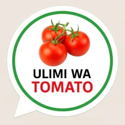 KUDZAMA PA ULIMI WATOMATO