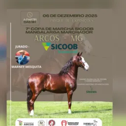 7ª COPA SICOOB ARCOS 2025