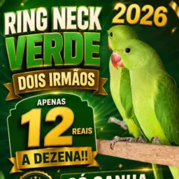 0️⃣3️⃣🚨🇧🇷1️⃣6️⃣7️⃣🚨Rifa de grupo, amigos das avés