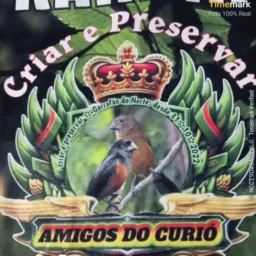 🇧🇷🇧🇷 RIFA DE UM CURIÓ PARDO