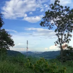 Fazenda Topo da Serra 🥬🌹🌵🪴🐔🐣🥚