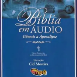 Biblia Novo Testamento