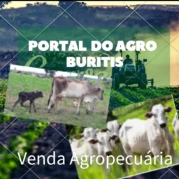 Portal do Agro🧑🏻‍🌾 Buritis