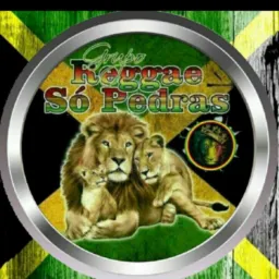 EQUIPE🇲🇱DO REGGAE🇲🇱 LION🦁