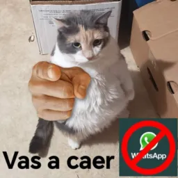 El pueblo manda☝🏿😝🔥
