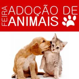 🐶🕊️🐱Grupo de doação de animais🐶🐱🕊️