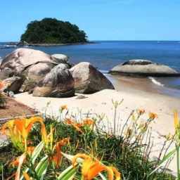 Negócios do Litoral