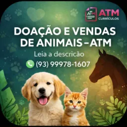 15. DOAÇÃOS DE ANIMAIS  - ALTAMIRA 🐰🐭🐱🐔