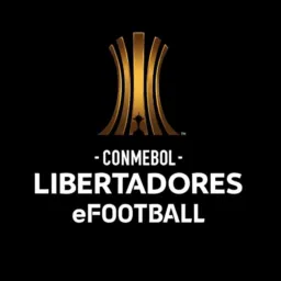 Libertadores efooteball 26