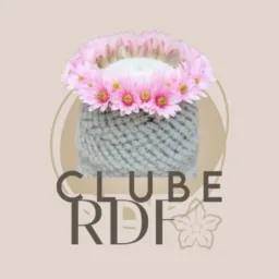 Clube dos Cactos RDF 🌵