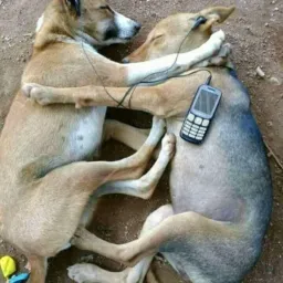 Amigos da zoeira🤣☺️😬😂