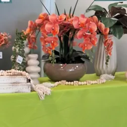 GRUPO VIP 1 🌹 La Casa Decor *PROMOÇÃO DIA DAS MÃES*