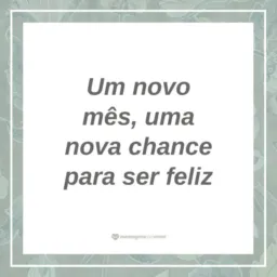 DIVULGAÇÕES NOVOS E USADOS