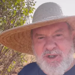 Notícias Tocantins