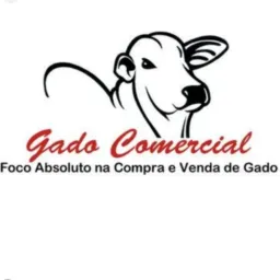 Compra e Venda De Gado Pará, Maranhão E Tocantins 🐮🦬🐂🐃
