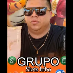 Amigo(a)s Slots e Estratégias Lobo 🐻❄😍🙏🏽👏🏼