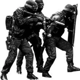 CURSOS Y EQUIPO DE SEGURIDAD Y EMERGENCIAS SOLO MÉXICO