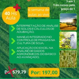 #1 Jornada Solo Fértil 🌱