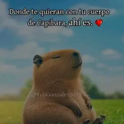 Grupo  divertidos 😆