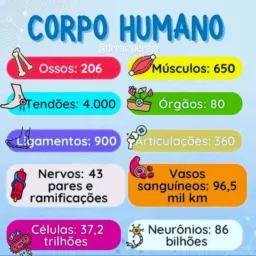 Saúde e Qualidade de Vida