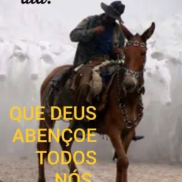 Catira troca e região