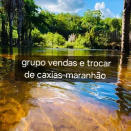 Grupo de Vendas e trocas🫶🏽❤💐