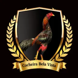 cocheira bela vista 🐓