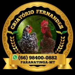 Criatorio Fernandes