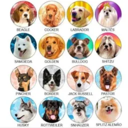 VENDAS DE ANIMAIS DE RAÇA do RJ