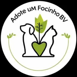 Adote um Focinho BV 🐕🐈