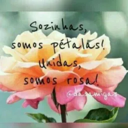 Grupo de Oração 🙇🏻‍♀️🙏🏻🔥ROSAS DE SARON 🌹🌹🌹