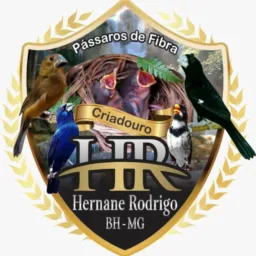 🇧🇷 CRIADOURO HR & AMIGOS 🇧🇷