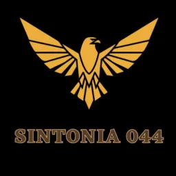01 FORNECEDOR CSF