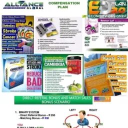 ALLIANCE IN MOTION GLOBAL ZIMBABWE BUSINESS OPPORTUNITY