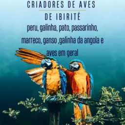 Criadores de 🦆🐓🦜🦃 Ibirite
