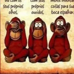Motivação e ação 🙈🙊🙉