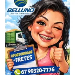 🔥 BELLUNO FRETE EM AÇÃO 🚛🚚