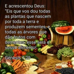 Aprendendo com Deus culinária vegetariana&Campo 📖🥗❤️🍇🍏🌳