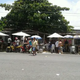 🎁 feira de oitizeiro Jp 🚘
