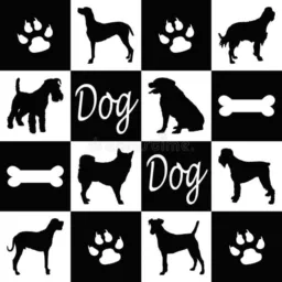 🐾🐾 MUNDO DOS DOG`S 🐾🐾