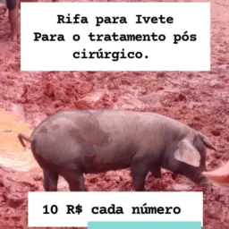 Rifa para Ivete, pra tratamento pós cirúrgico.